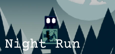 Banner of Night Run 