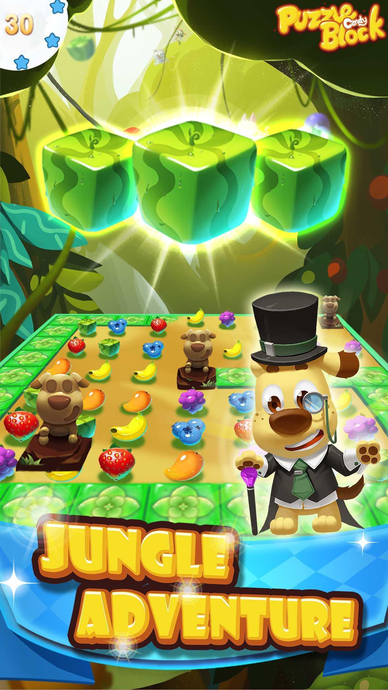 Puzzle Candy Block ゲームのスクリーンショット