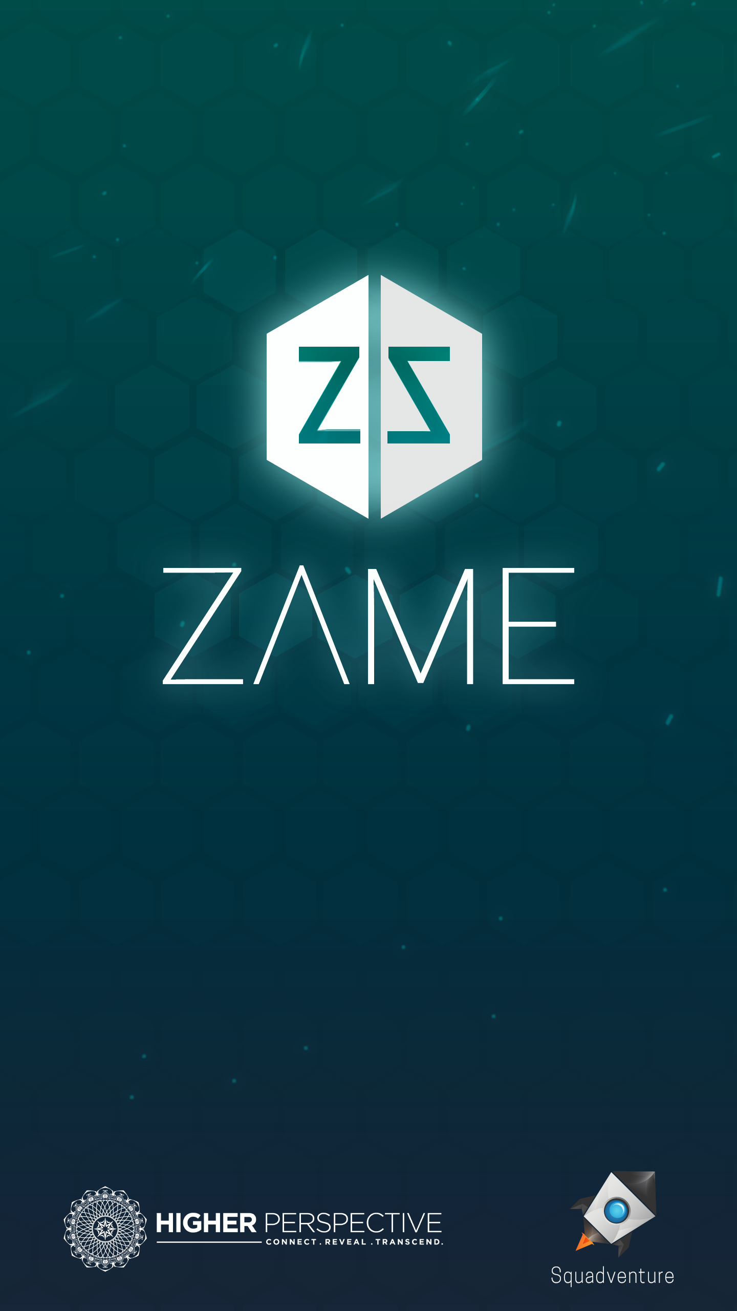 Скриншот игры Zame