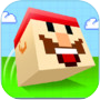 Mr.io