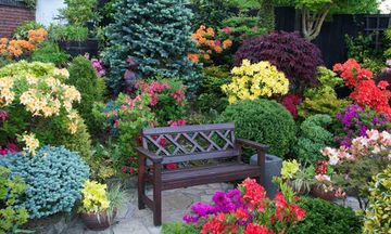 Astonishing Garden Escape Game Screenshot