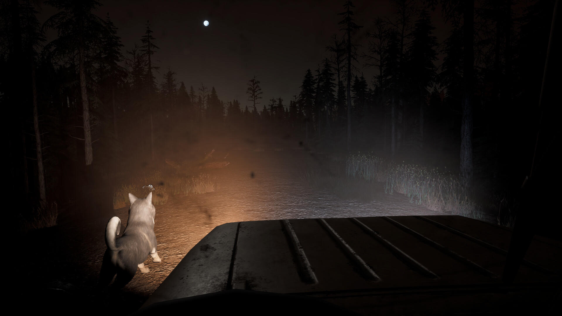 Setteeh Game Screenshot