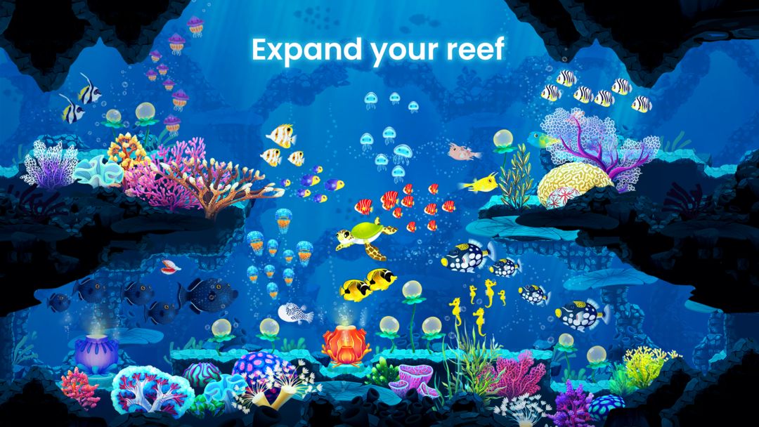 Screenshot of Splash: Fish Sanctuary