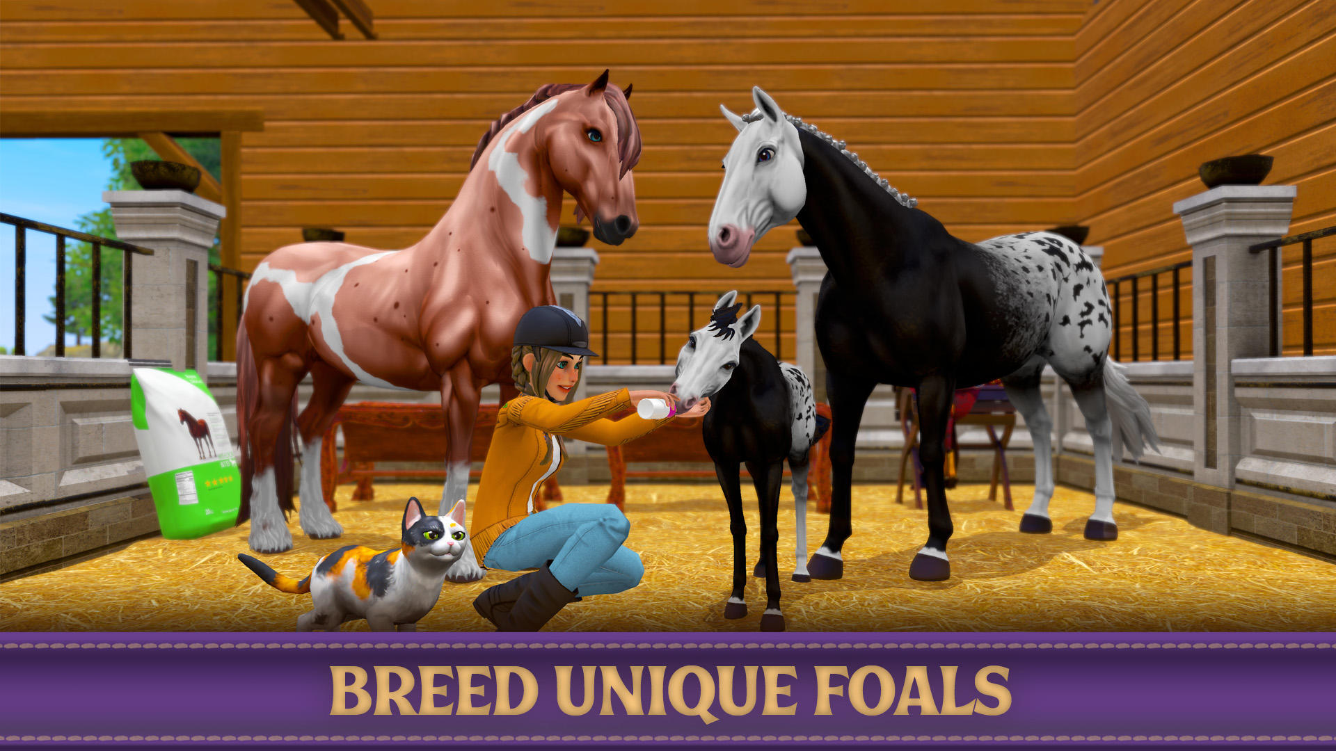 Star Equestrian - Horse Ranch Game Screenshot