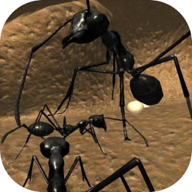 Ant Simulation Full