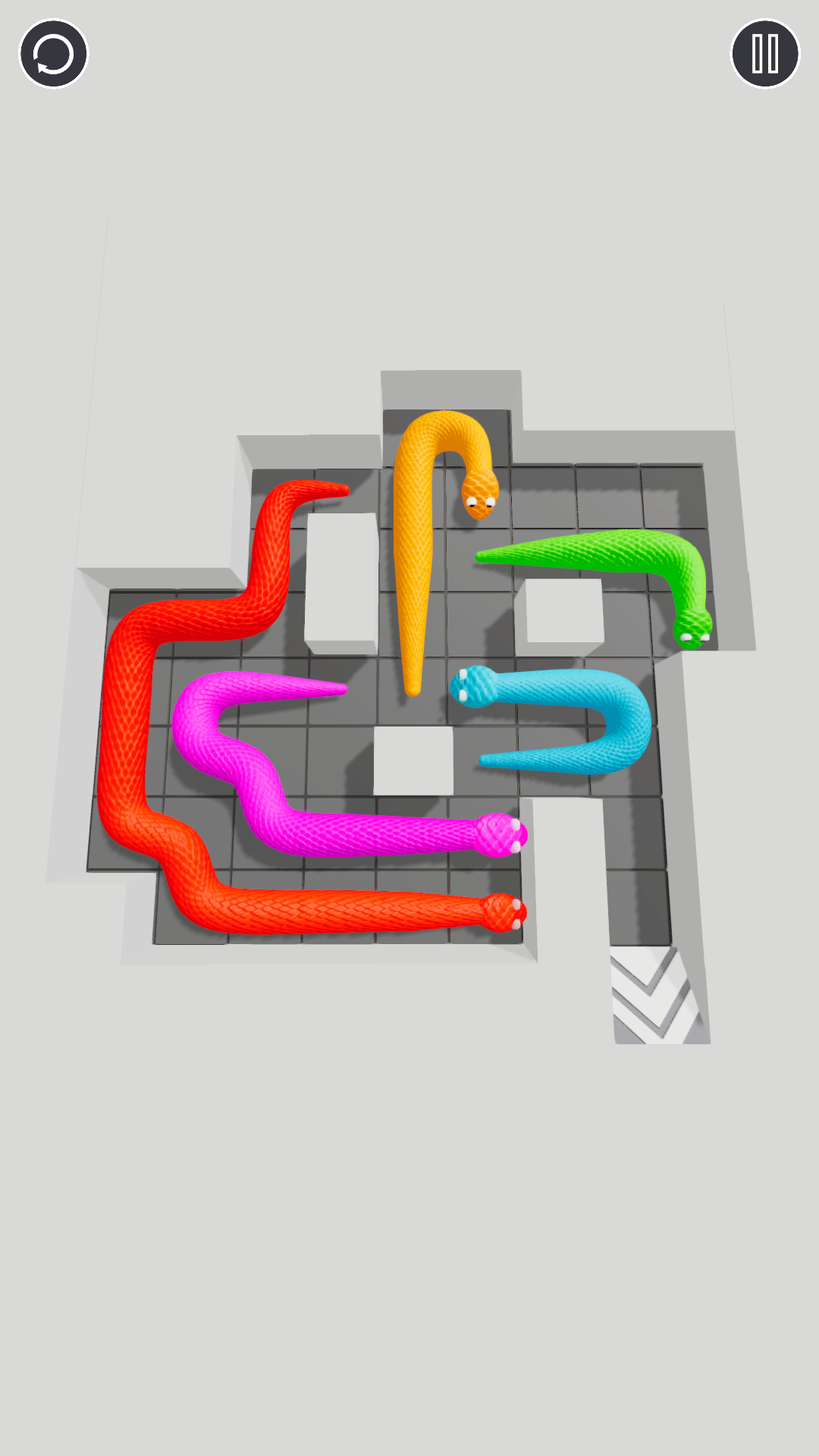 Tangled Snakes APK for Android - Download