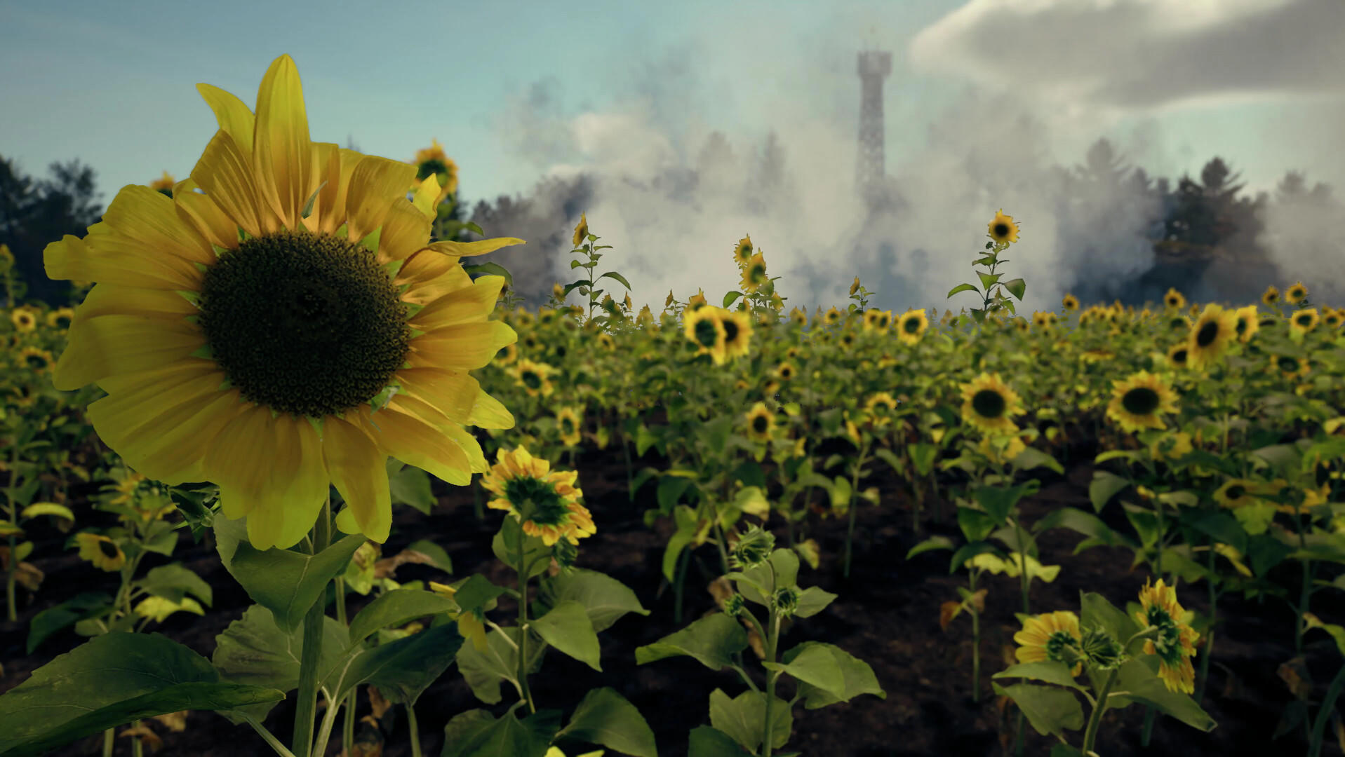 Death From Above Game Screenshot