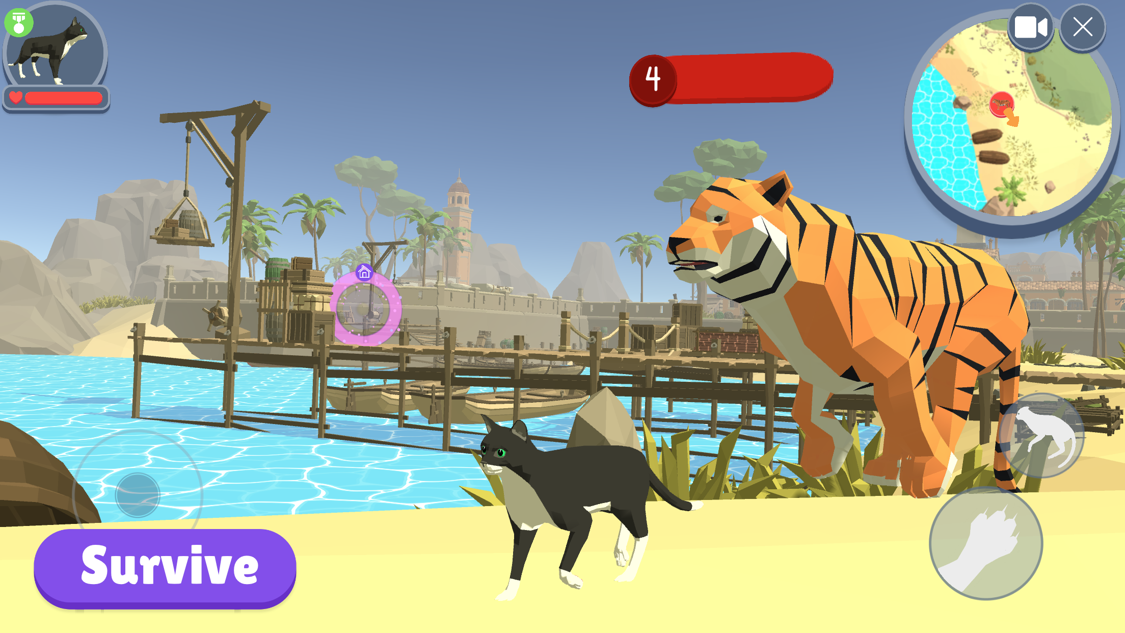 Cat Life Simulator Game Screenshot