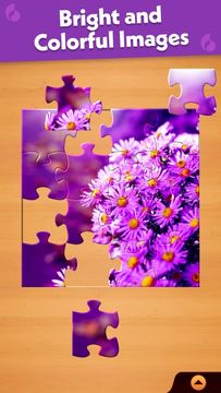 Jigsaw Puzzle Pro Game Screenshot