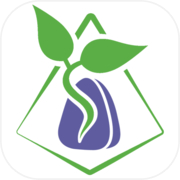 Magis: The story of Rune Grove