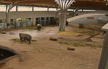 Cuplikan Layar Game Escape Games Day-370