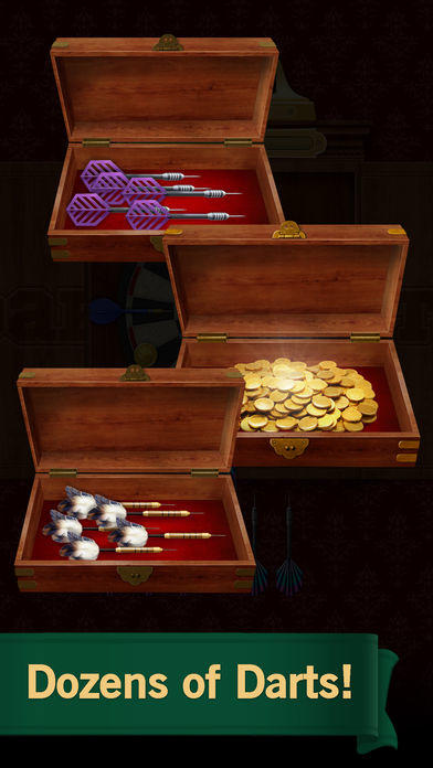 Darts: King of Champions Game Screenshot