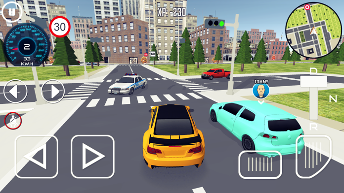 Driving School Simulator 2020 Game Screenshot