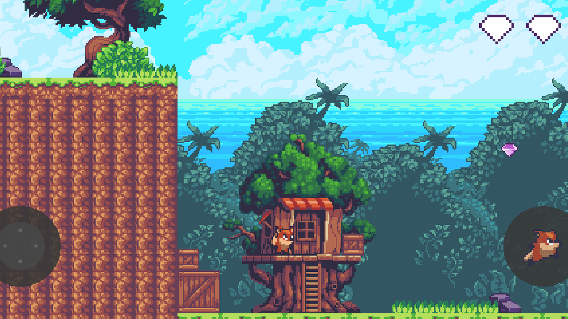 The raccoon's island ภาพหน้าจอเกม