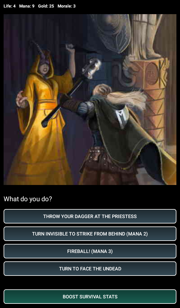 Dungeons and Decisions RPG Game Screenshot