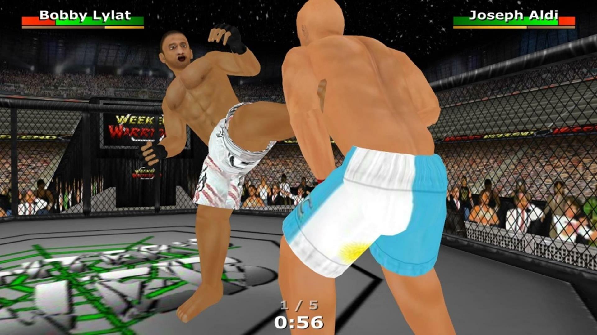 Screenshot of Weekend Warriors MMA