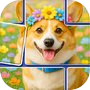 Icon of Jigdom