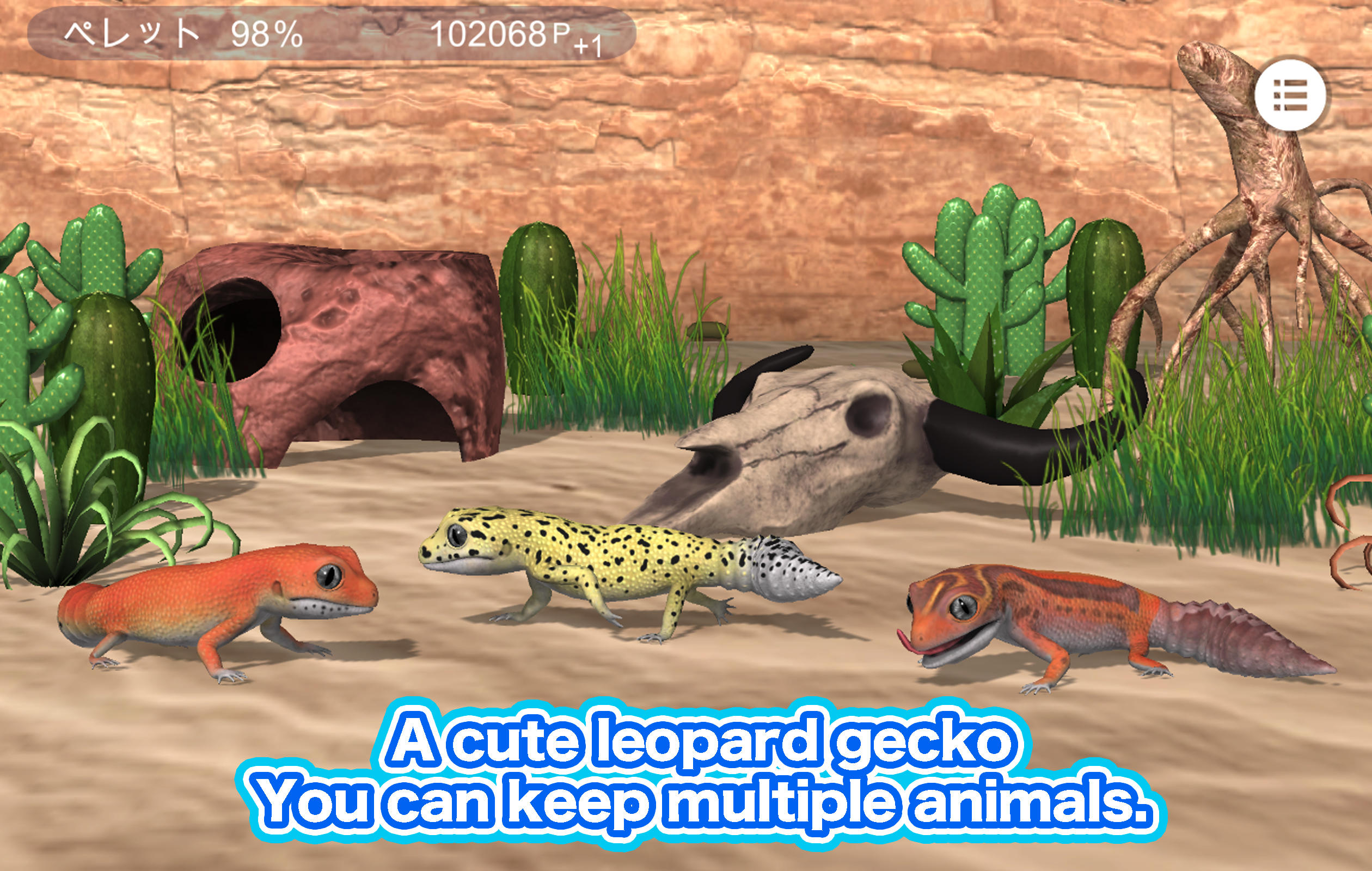 My leopard gecko Game Screenshot