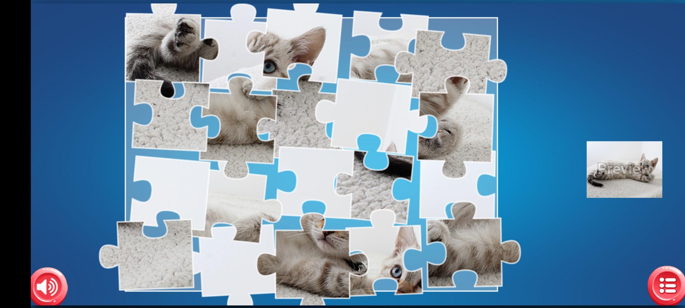 Cat Jigsaw Puzzle Online 