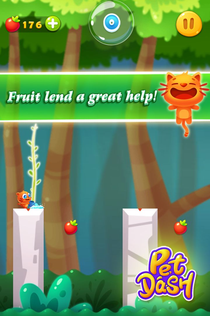 Pet Dash screenshot game