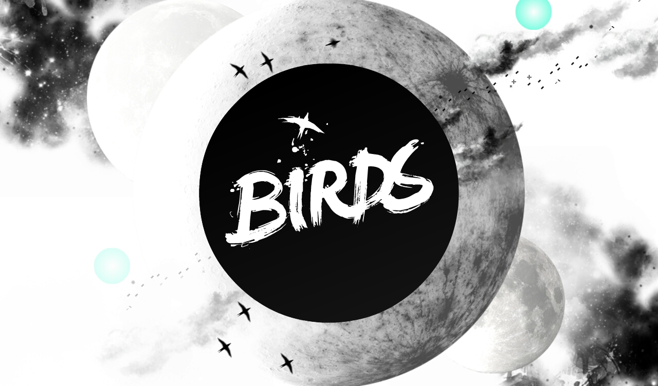 Birds Game Screenshot