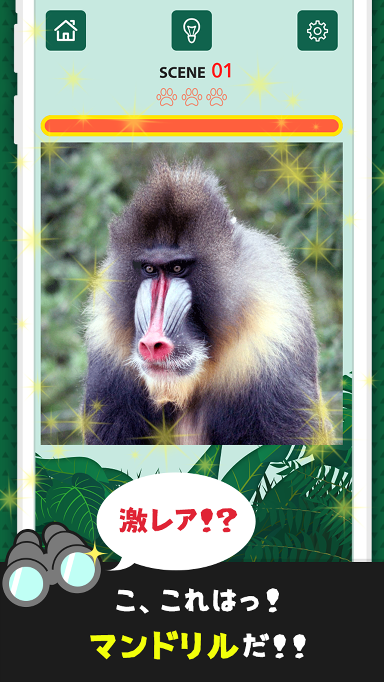珍獣ハンター 動物図鑑パズル Game Screenshot
