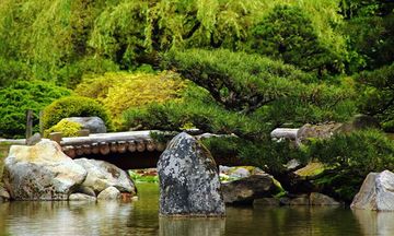 Cuplikan Layar Game Monte Tropical Garden Escape