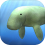 Dugong and Tropical Fish