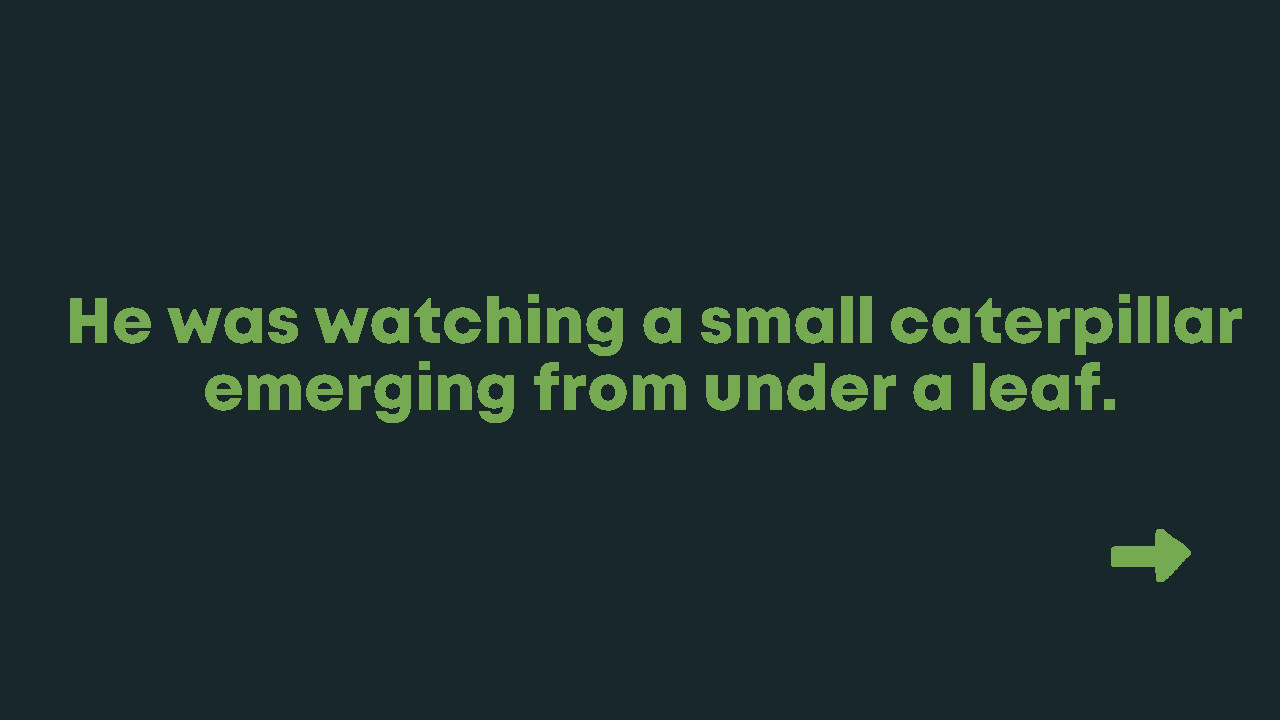 WordSearch Story: Samuel's Adventure 1 Game Screenshot