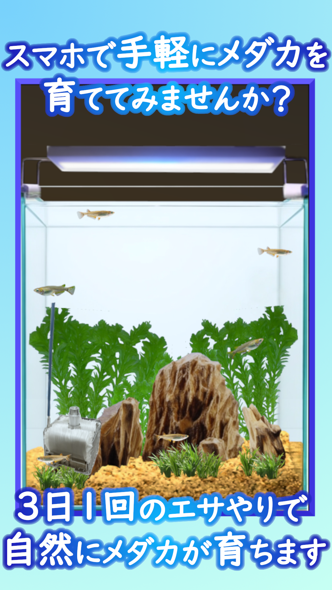 BOYU Net Breeder for Aquarium Fish Tank –