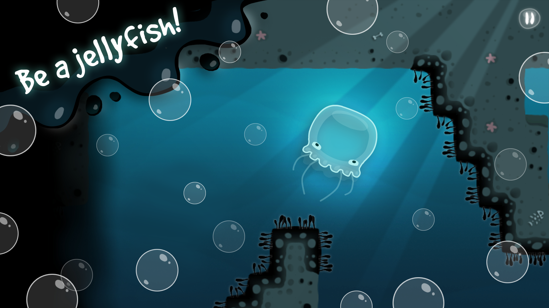 ecotone Pocket Game Screenshot
