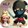 Help The Princess