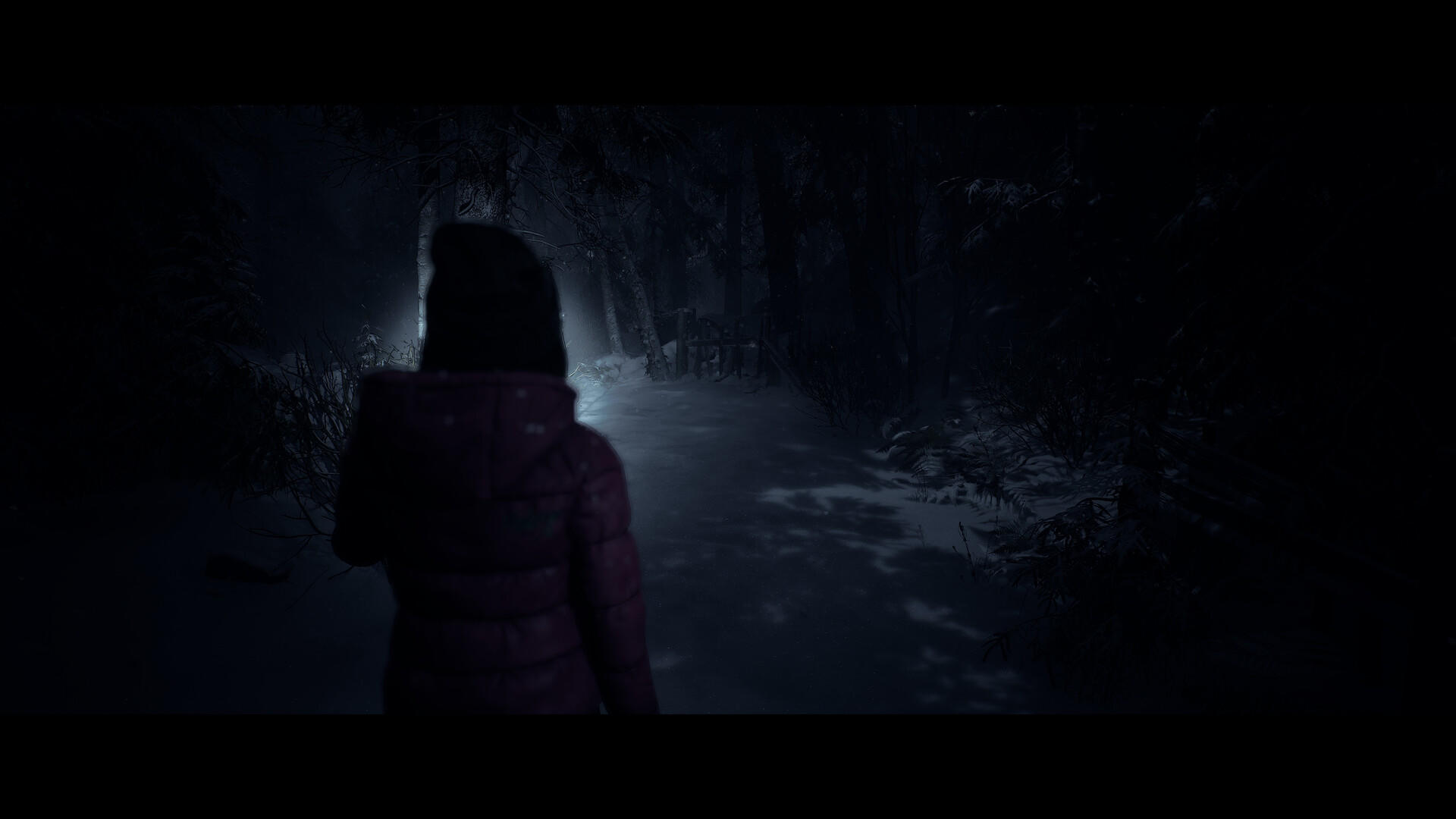 Until Dawn™ Game Screenshot