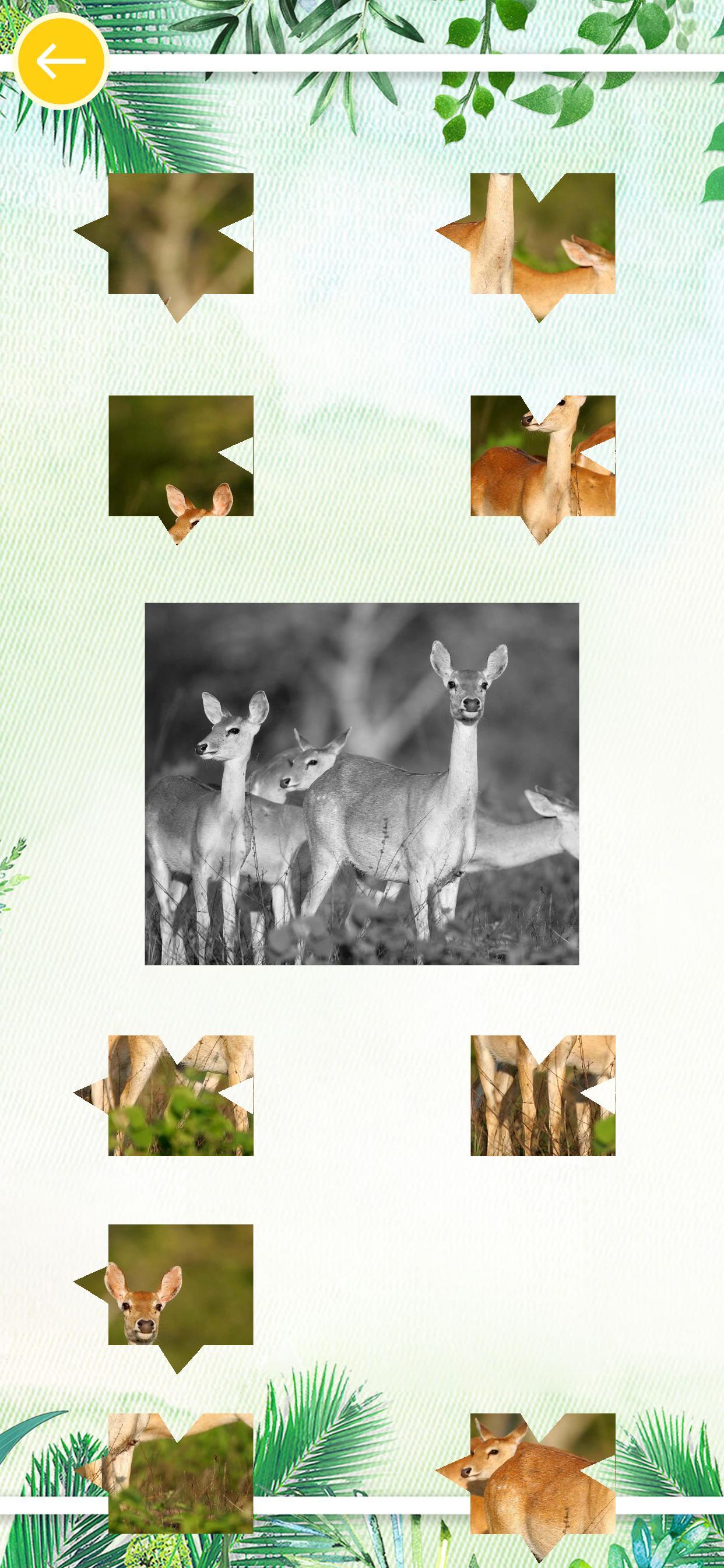 天天开心拼图（测试版） ゲームのスクリーンショット