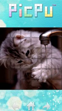 PicPu - Cat Picture Puzzle Game Screenshot