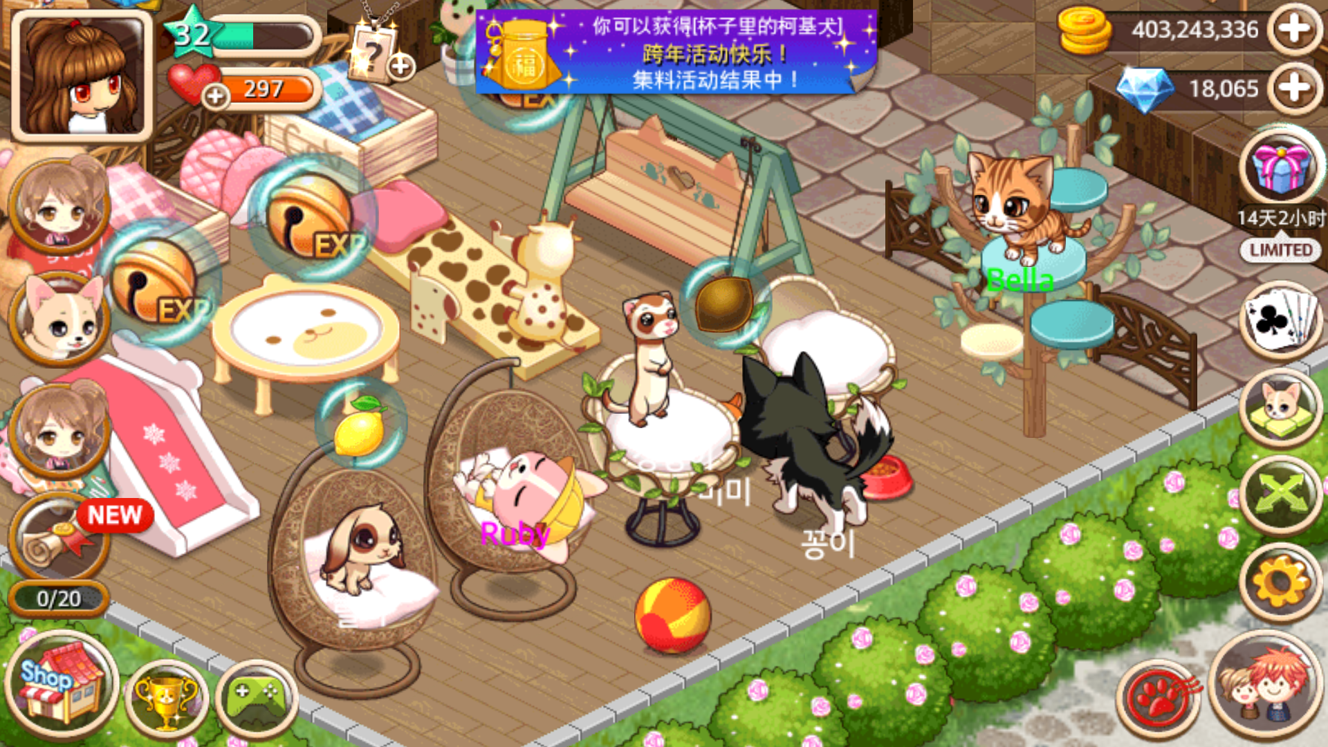My Pet Village Game Screenshot