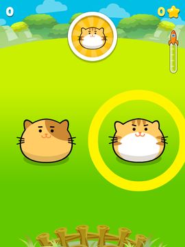 Crazy Kitty Tap Game Screenshot