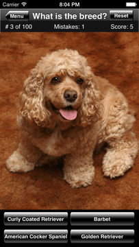 Dog Breed Quiz Game Screenshot