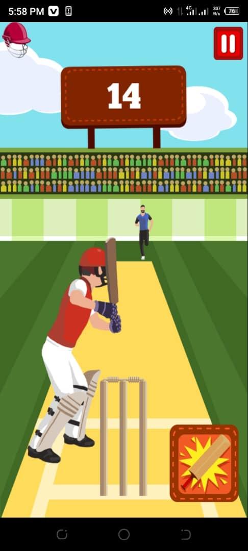 Pro Cricket Champion Game Screenshot