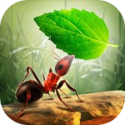 Little Ant Colony - Permainan Terbiar