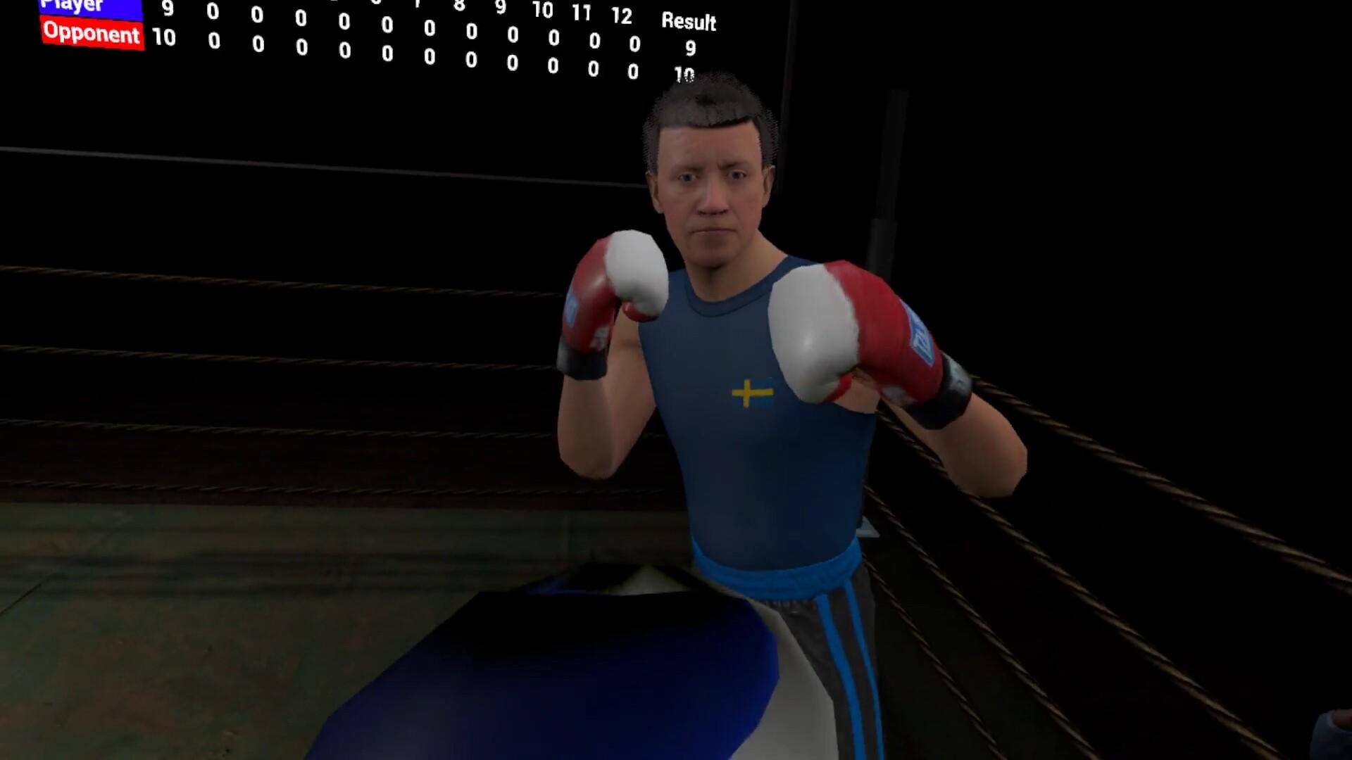 Screenshot of True Boxing VR