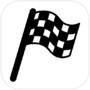 Car driver racing game