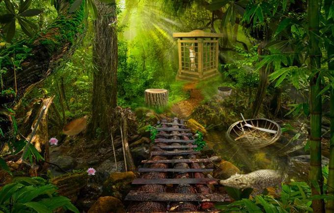Escape Game - Asian Jungle Game Screenshot