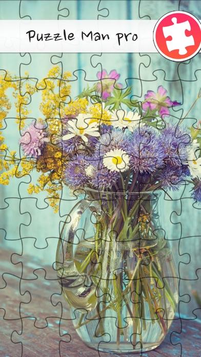 Puzzle Man Pro Game Screenshot