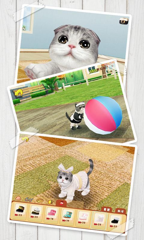Cat Sweetie Game Screenshot
