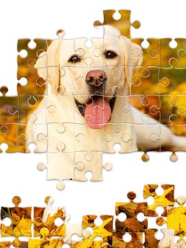 Cuplikan Layar Game Jigsaw1000: Jigsaw puzzles