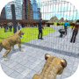 Animal Shelter: 3D Safari Zoo