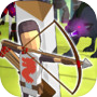 Last Arrows : Sniping Archer
