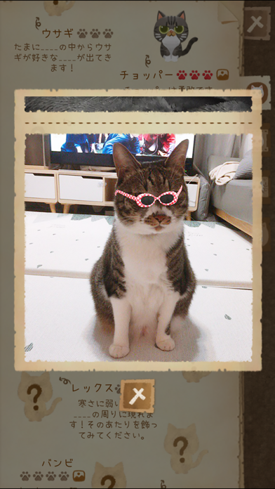 猫と秘密の森 ゲームのスクリーンショット