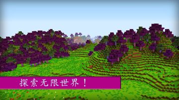 女孩方块世界的探索 PRO Game Screenshot